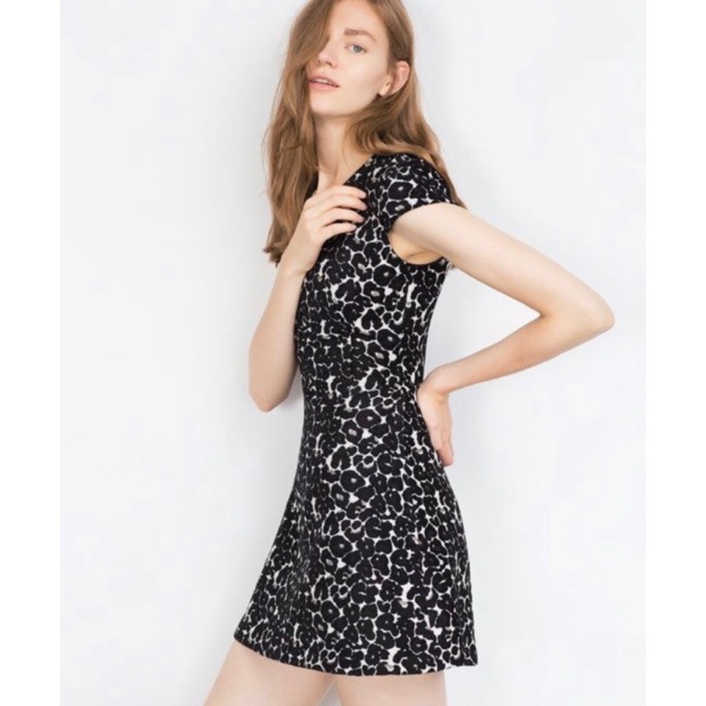 2/$35 — ZARA A-Line Leopard Print Mini Dress